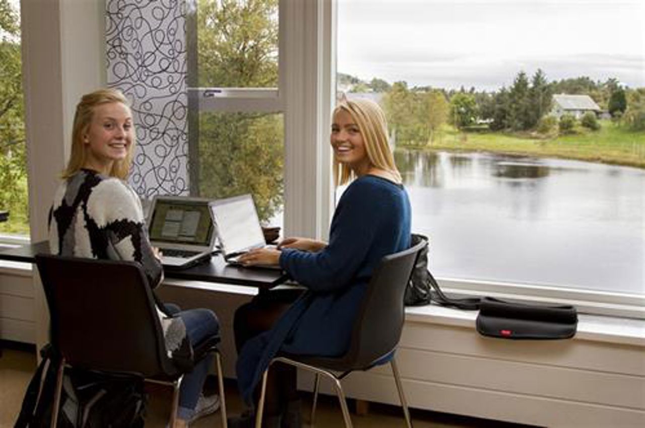 To elevar arbeidar på pc